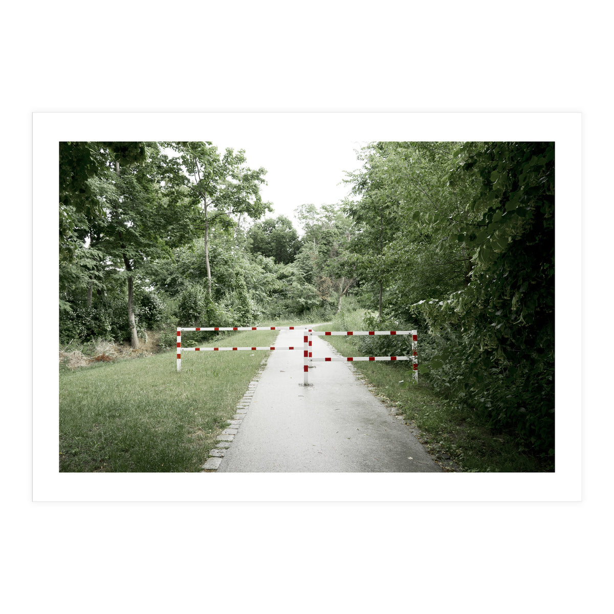 Entrance to the green park (Print Only)