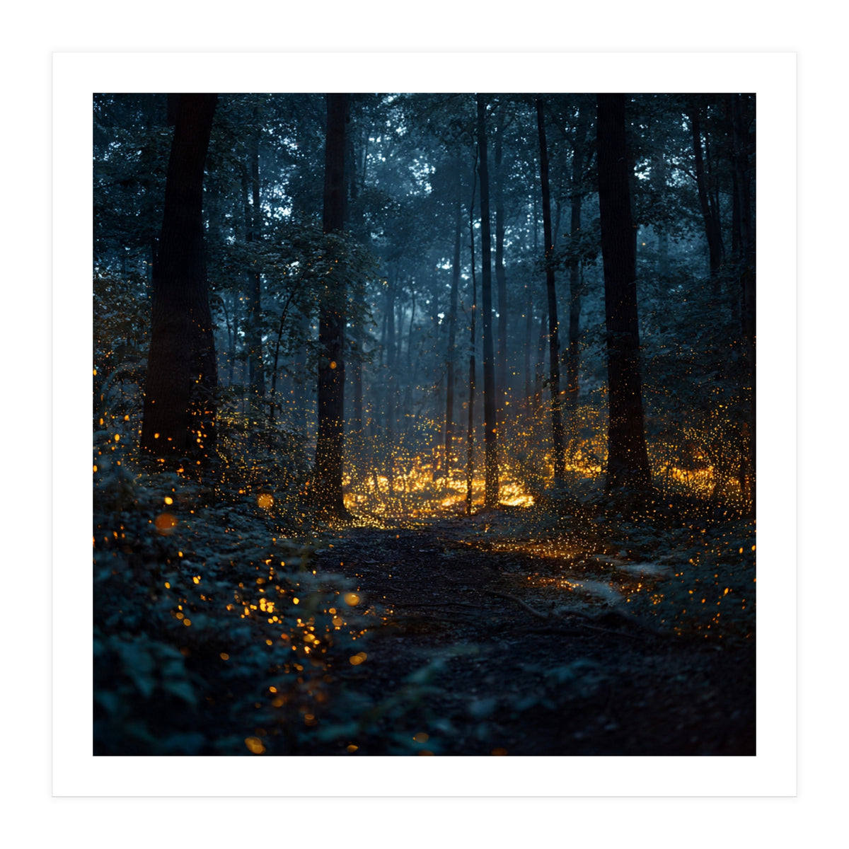 Enchanted Midnight Forest with Glowing Fireflies (Print Only)