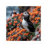 Atlantic Puffin Bird Perched On Orange Flowers (Print Only) thumbnail
