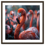 Beautiful Close Up Of A Pink Flamingo Bird thumbnail
