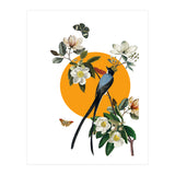 collage floral birds (Print Only) thumbnail