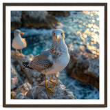Seagull Standing On Rocks Near Water thumbnail