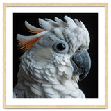 White Cockatoo Parrot With Orange Crest thumbnail