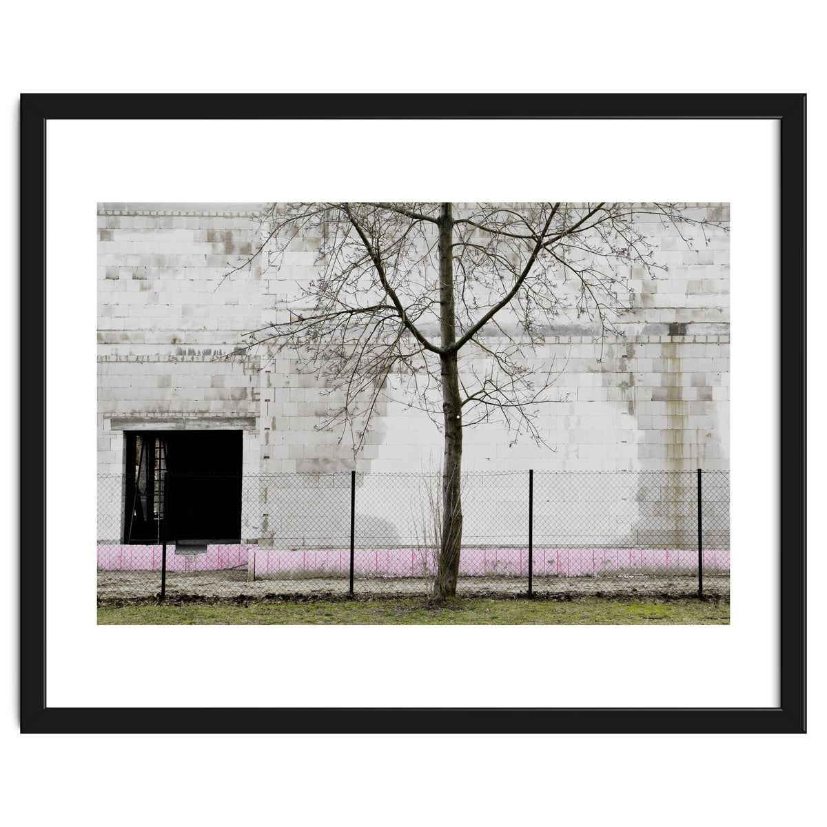 A tree in front of the wall