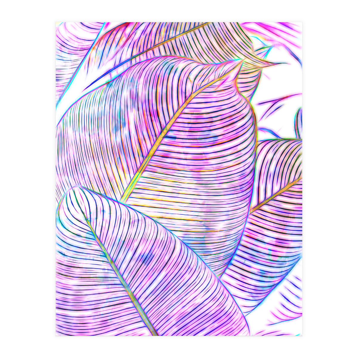 Pink Banana Leaves | Tropical Botanical Jungle | Ultraviolet Purple Nature Plants | Eclectic Forest (Print Only)