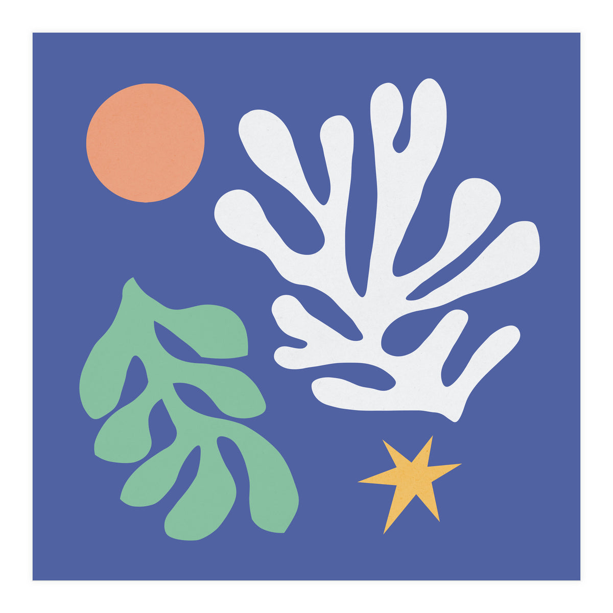 Floral matisse 2 (Print Only)