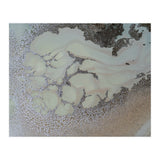 Shifting (Print Only) thumbnail