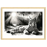 Lynx Resting In Sunlight thumbnail