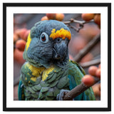 Yellow Headed Amazon Parrot Close Up Portrait thumbnail