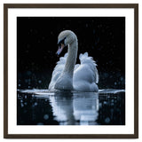 Majestic Swan Swimming In Dark Water thumbnail
