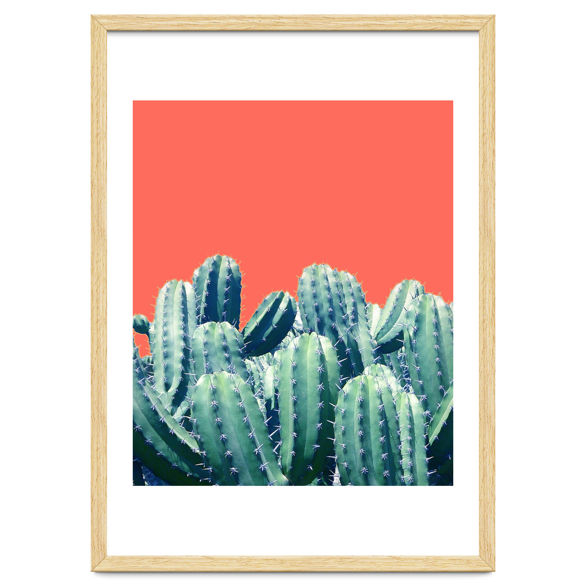 Cactus On Coral