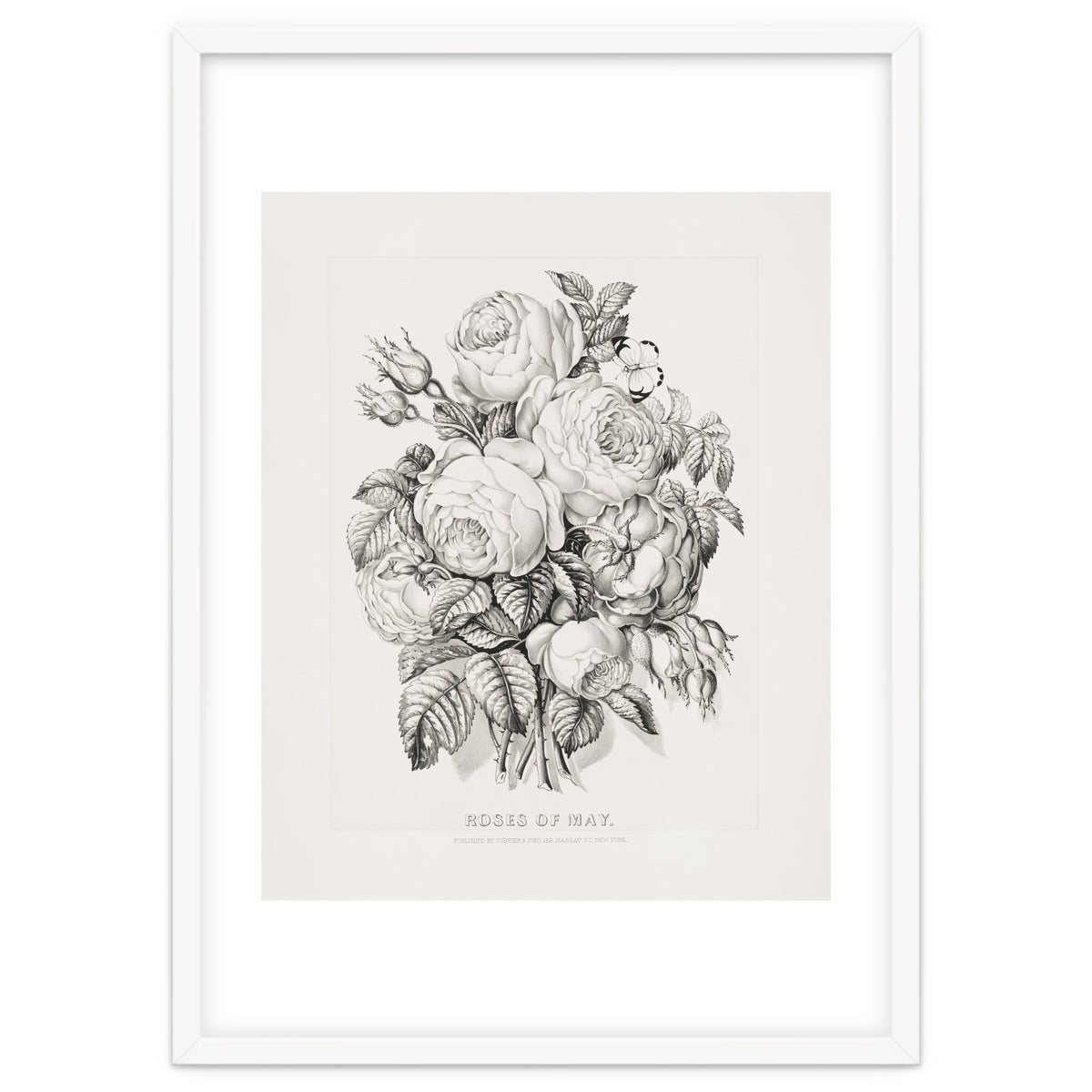 Currier & Ives – Rose of May (1870)