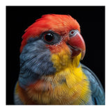 Close Up Colorful Parrot Portrait Vivid Plumage (Print Only) thumbnail