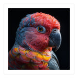 Close Up Parrot Face Red Blue Yellow Plumage (Print Only) thumbnail