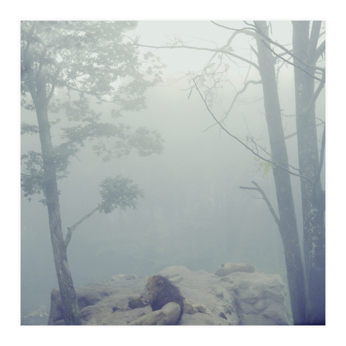 Silence of breath - 02 (Print Only)