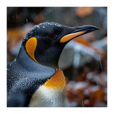 King Penguin In Rain With Water Drops (Print Only) thumbnail
