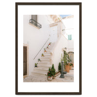 Stairs with cacti