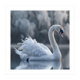Majestic White Swan Gracefully Floating On Water (Print Only) thumbnail