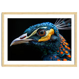 Close Up Of A Peacock Bird Head Eye thumbnail