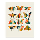 Colorful Butterflies (Print Only) thumbnail