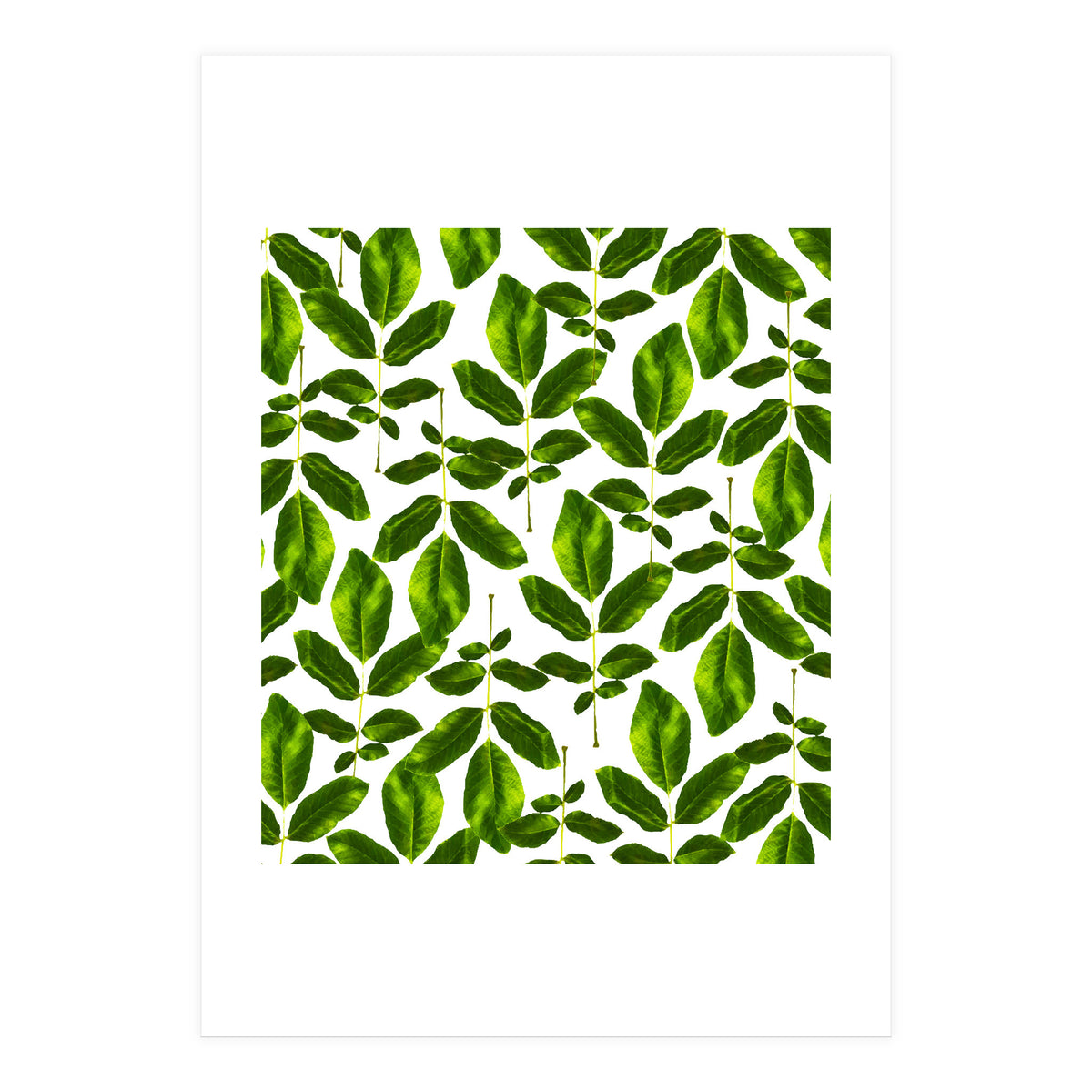 Natural Cure #society6 #decor #buyart (Print Only)