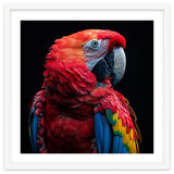 Scarlet Macaw Parrot Close Up Portrait thumbnail