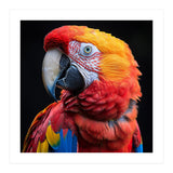 Scarlet Macaw Parrot Close Up Portrait Vivid Colors (Print Only) thumbnail