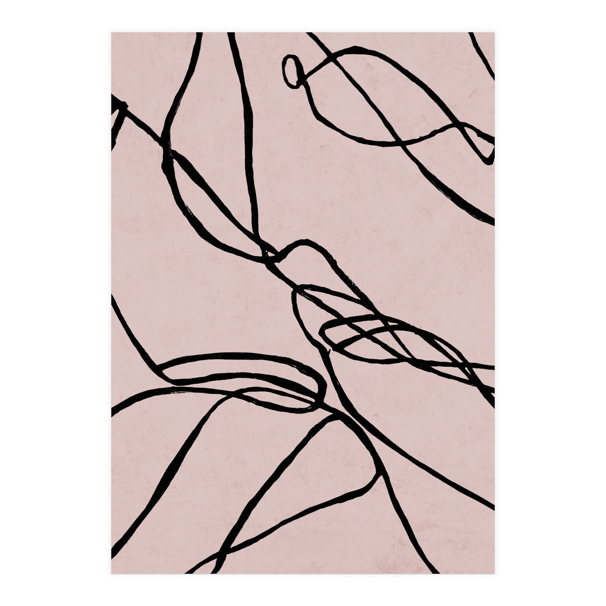 Lines on Rose (Print Only)