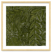 Forest Dense Foliage