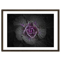 Backyard Flowers No 108 Color Version