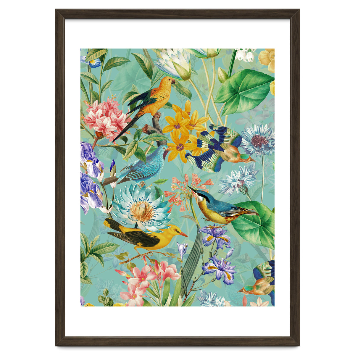 Birds In Tropical Jungle