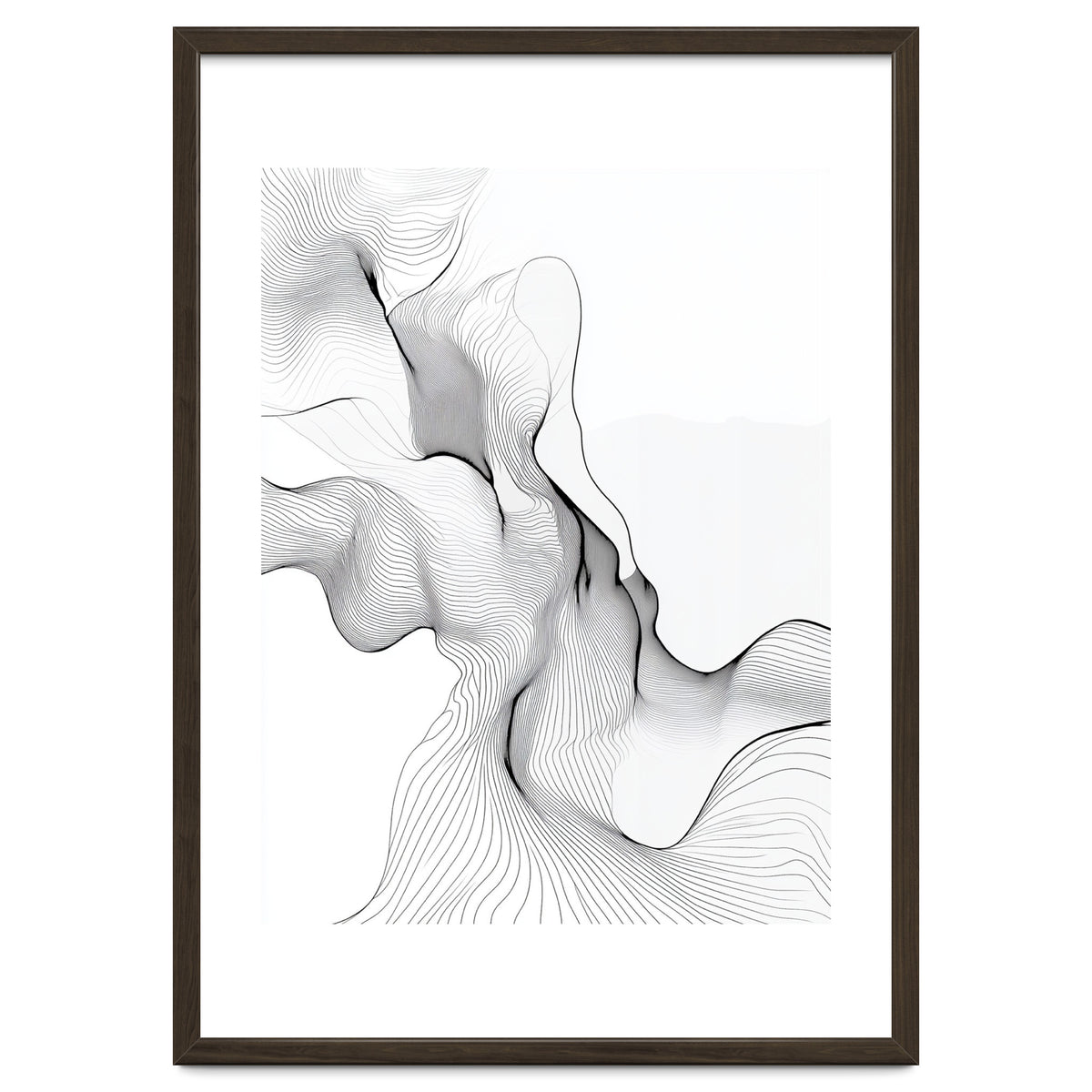 Abstract Black And White Flowing Lines