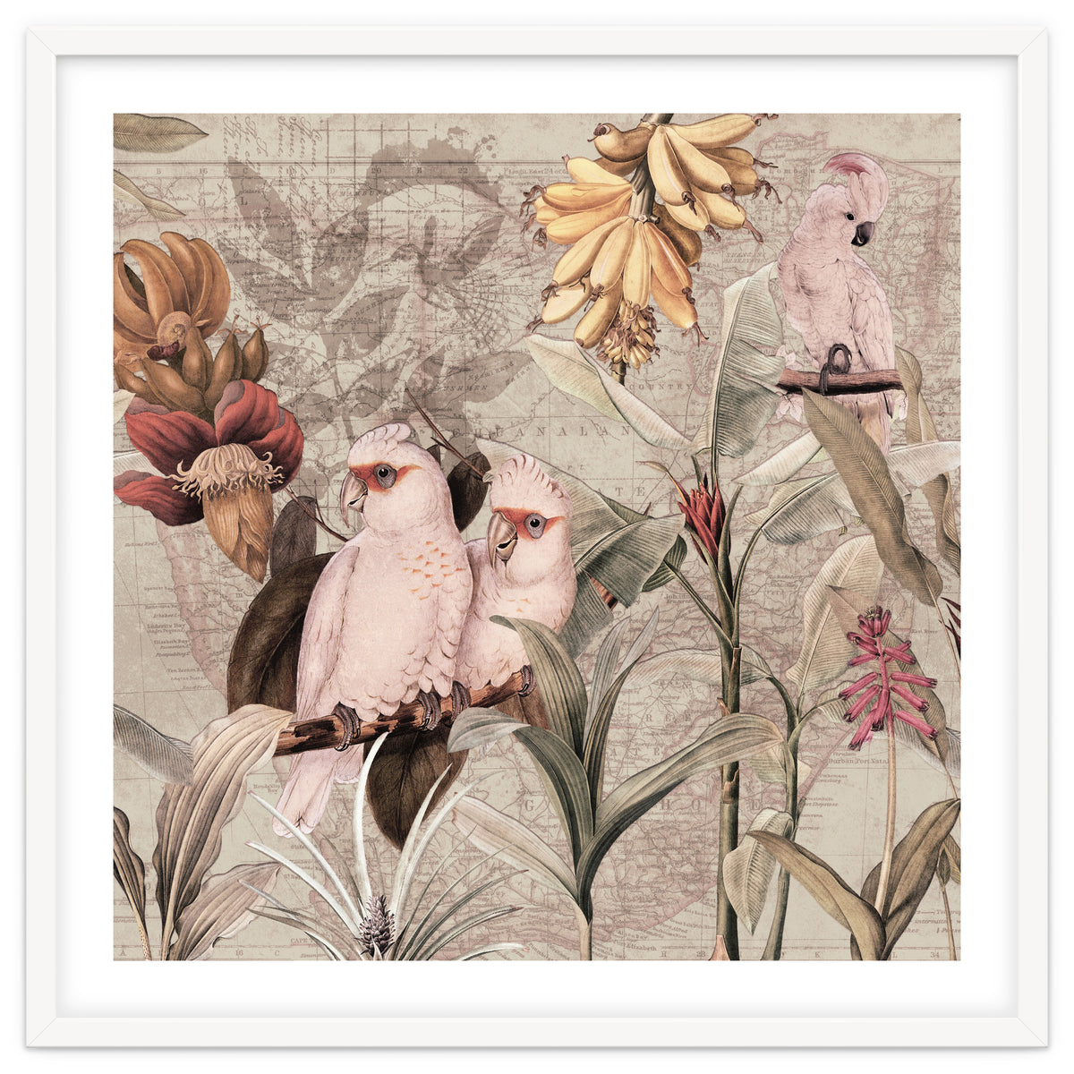 Cockatoo Exotic Bird Jungle