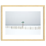 Fake palm tree in the winter snow beach thumbnail