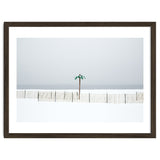 Fake palm tree in the winter snow beach thumbnail