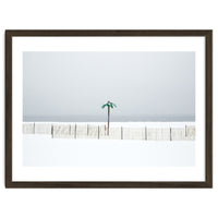 Fake palm tree in the winter snow beach