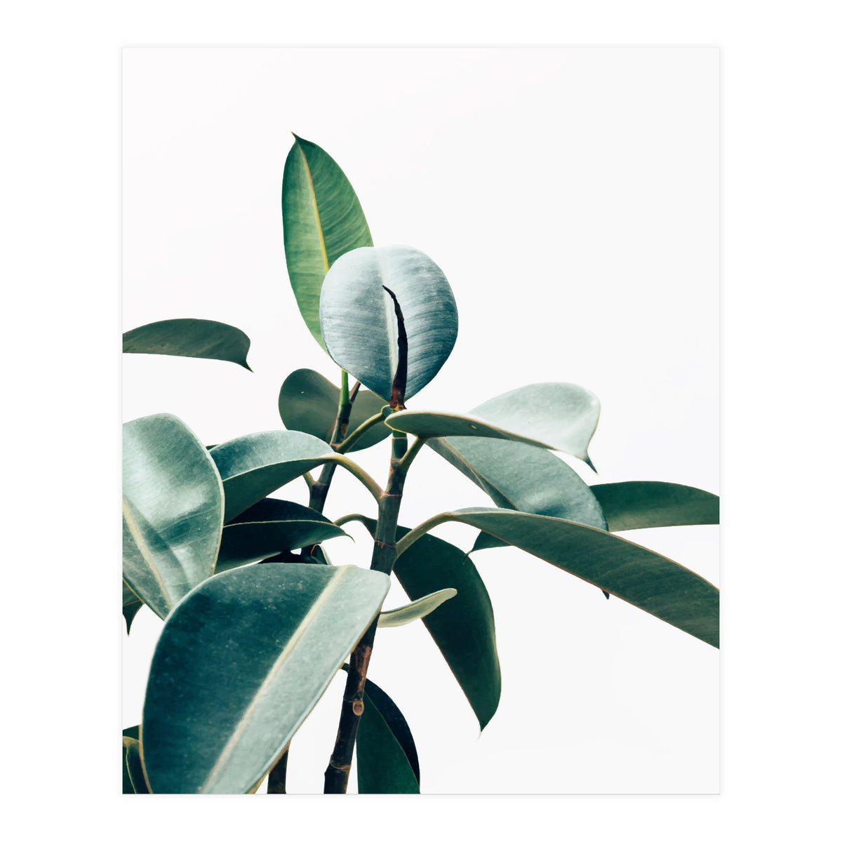 L'amour de ma vie #society6 #decor #buyart (Print Only)