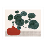 Stephonia Erecta plant (Print Only) thumbnail