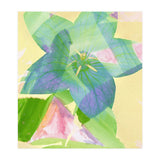 A Peaceful World (Print Only) thumbnail
