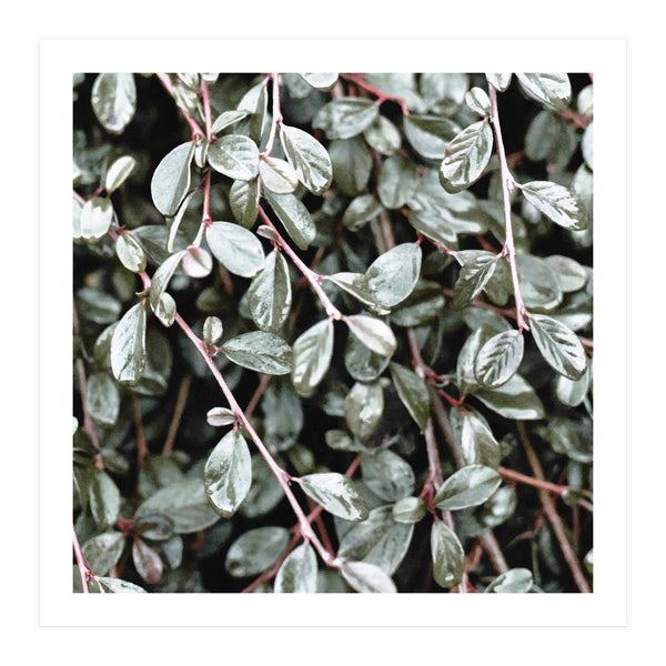 Rain #society6 #decor #buyart (Print Only)