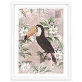 Exotic Bird Toucan thumbnail