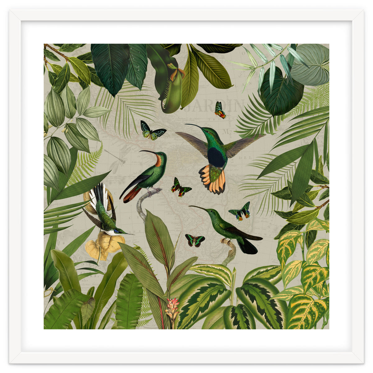 Vintage Exotic Hummingbirds Jungle