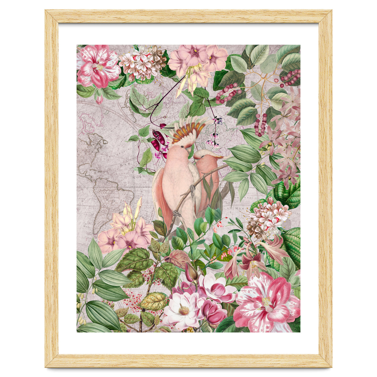 Parrot Exotic Jungle