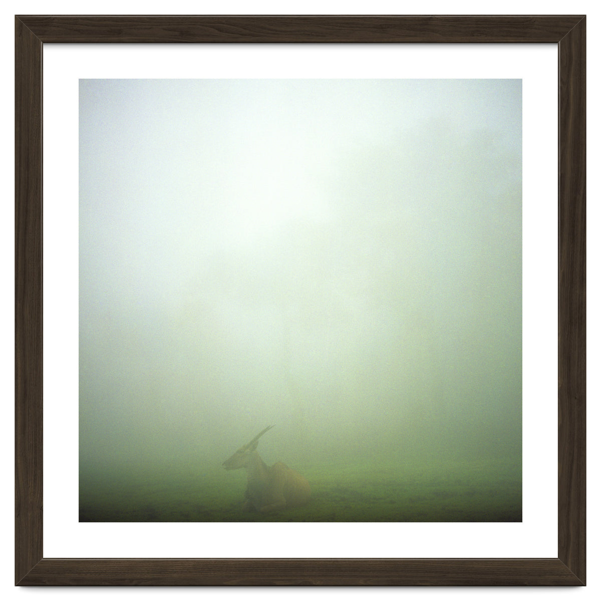 Silence of breath - 06