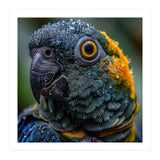 Close Up Of A Wet Macaw Parrot Head (Print Only) thumbnail