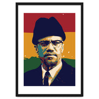 Malcolm X v2