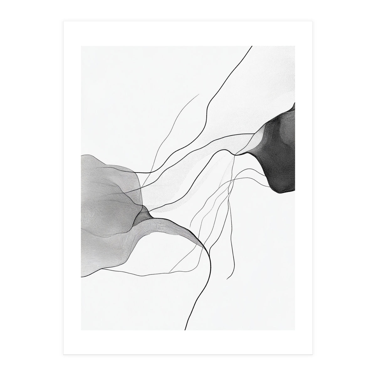 Abstract Black And White Flowing Lines And Shapes On White Background (Print Only)