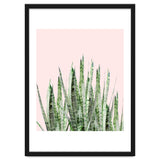 Botanical Balance thumbnail