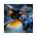 Close Up Of King Penguin In The Rain (Print Only) thumbnail