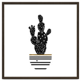 Black Cactus thumbnail